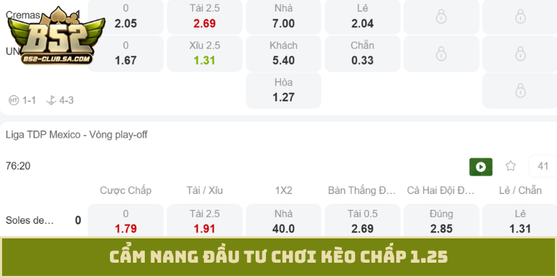 Cẩm nang đầu tư chơi kèo chấp 1.25