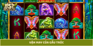 vận may của Gấu trúc
